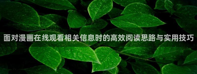 51漫画漫画导航：面对漫画在线观看相关信息时的高效阅读思路与实用技巧