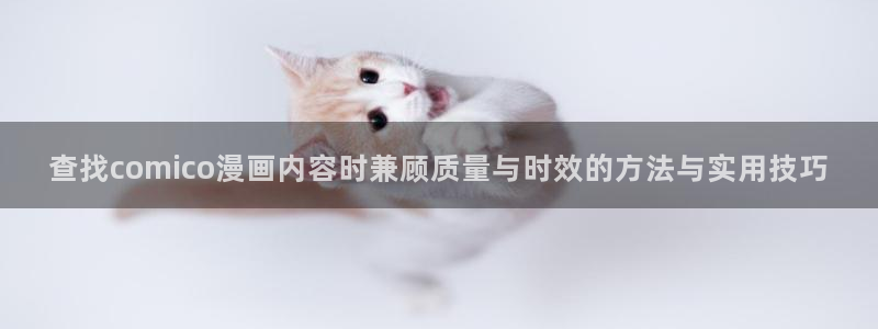 51漫画漫画网